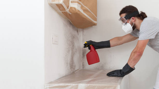 Professional Mold Testing technician working in Greenlawn, NY